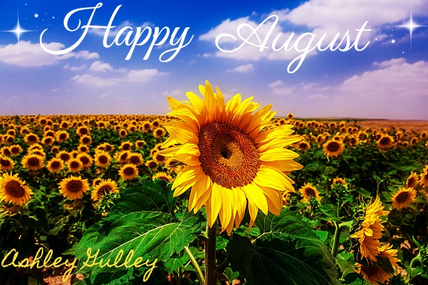 Image result for Happy August
